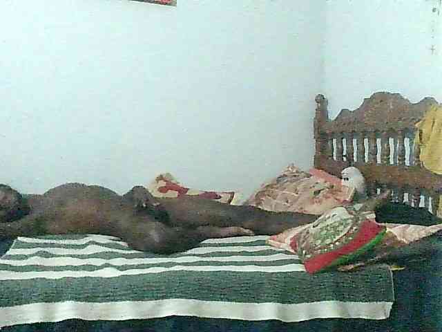 dirtypigmature dirtypigmature