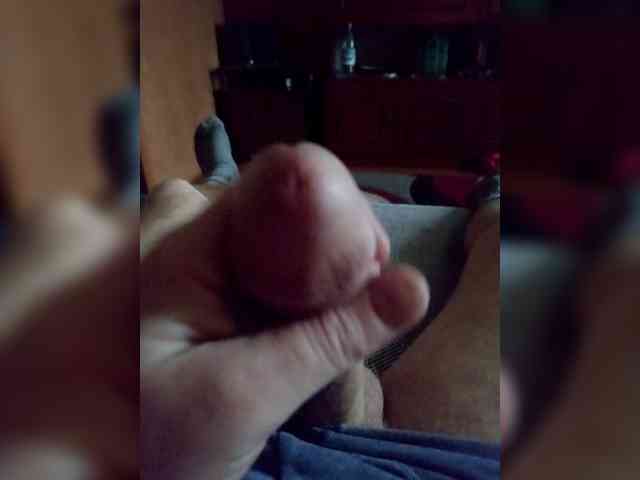Dandi16
