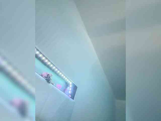 Chocolatekisses00 Chocolatekisses00