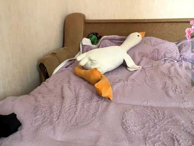 DarylBrendle's BongaCams show and profile