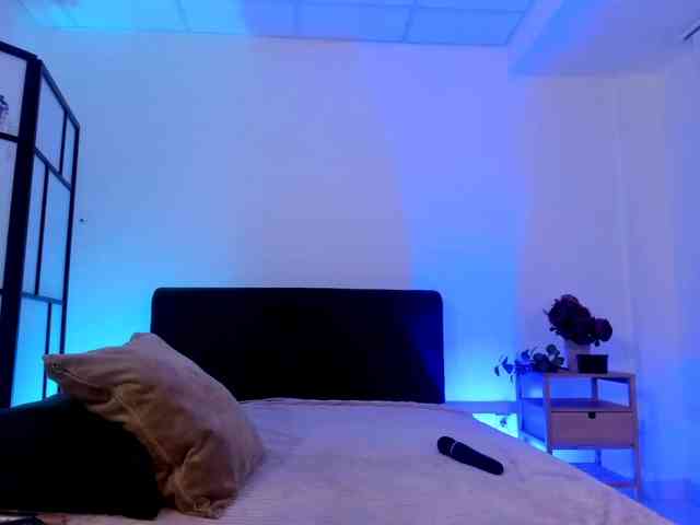 KittySteell KittySteell