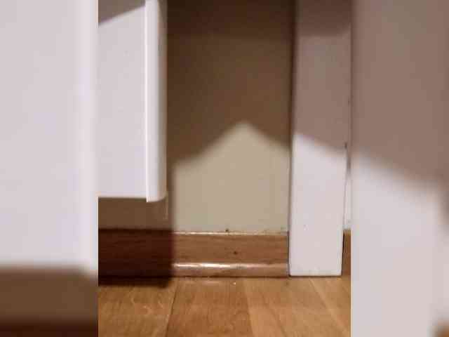 Gentlemanintwo Gentlemanintwo