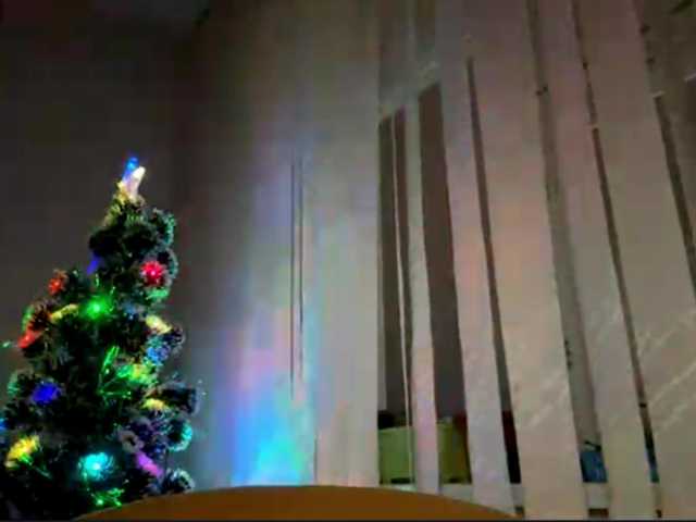 Preview of lynellgarzia