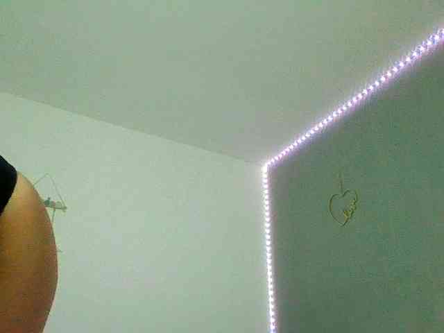 dixielaryss dixielaryss