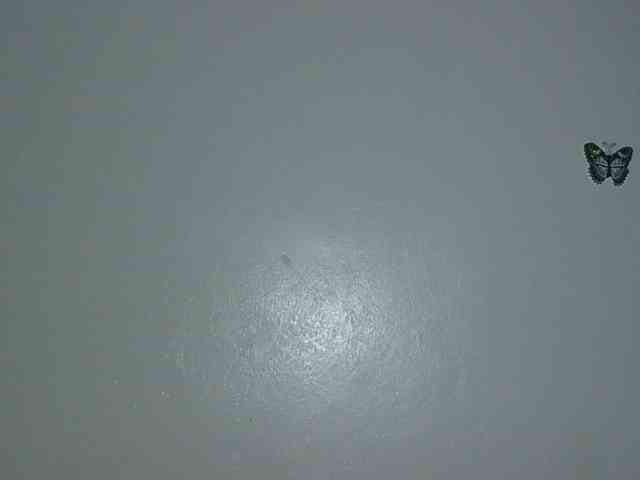 Melaninqueen19 webcam