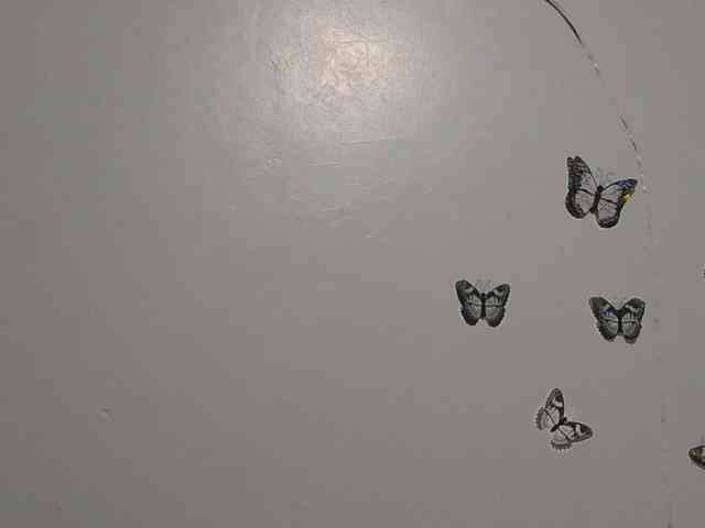 Melaninqueen19 webcam