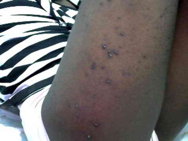 hey-its-nova hey-its-nova