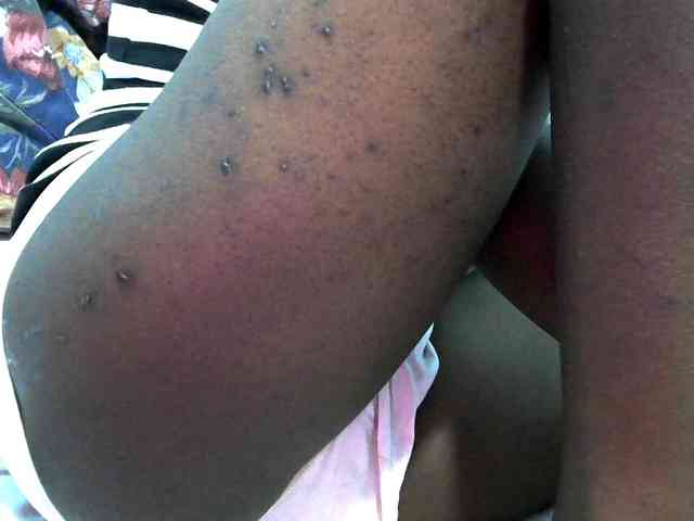 hey-its-nova hey-its-nova