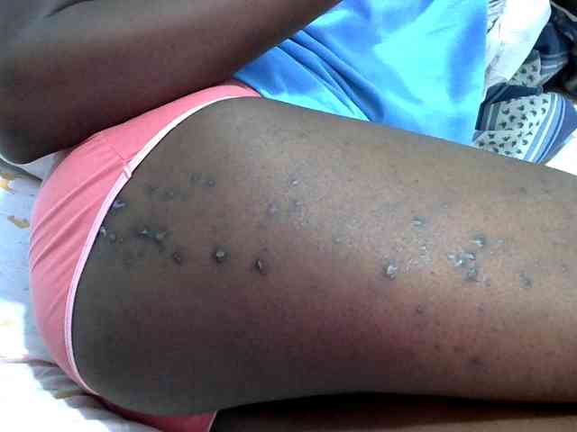 hey-its-nova hey-its-nova