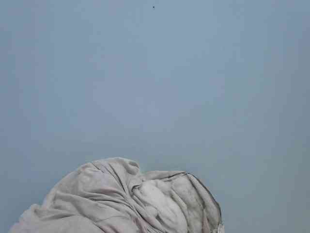 hey-its-nova hey-its-nova