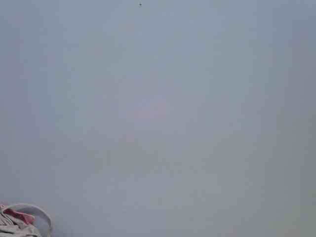 hey-its-nova hey-its-nova