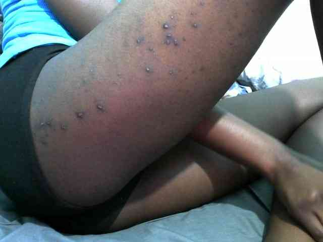 hey-its-nova hey-its-nova