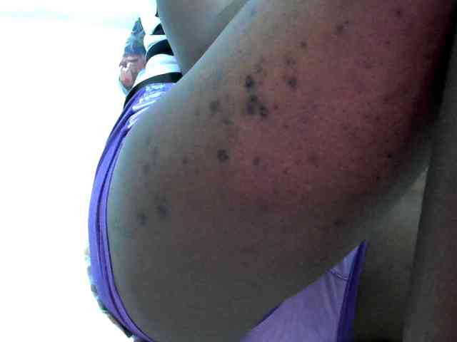 hey-its-nova hey-its-nova