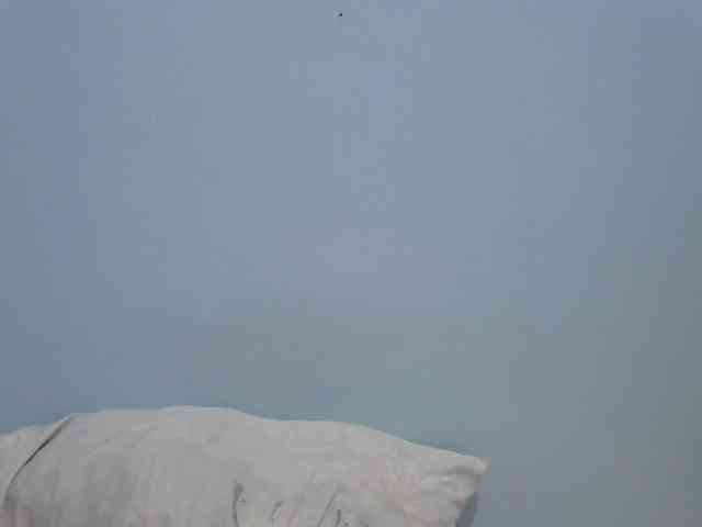 hey-its-nova hey-its-nova