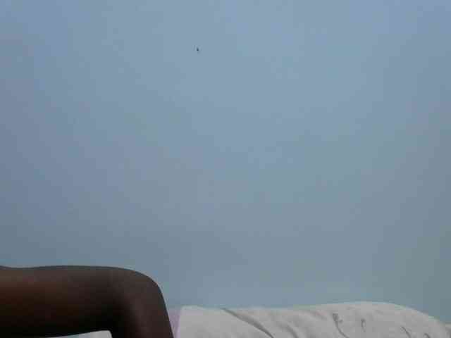 hey-its-nova hey-its-nova