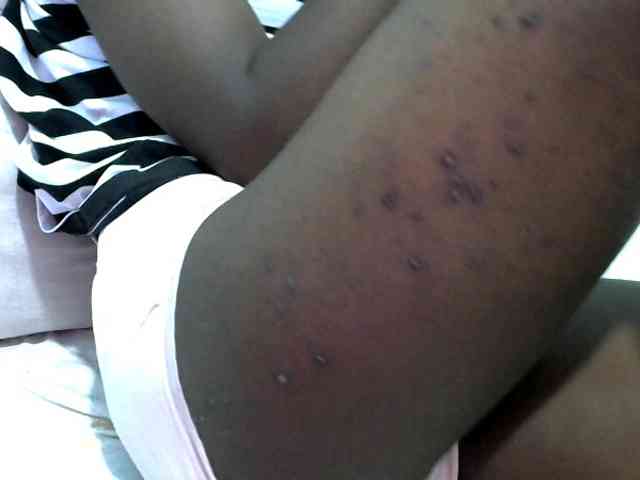 hey-its-nova hey-its-nova