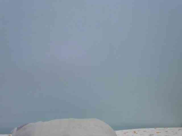 hey-its-nova hey-its-nova