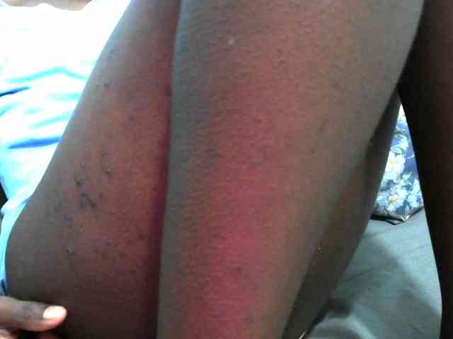 hey-its-nova hey-its-nova