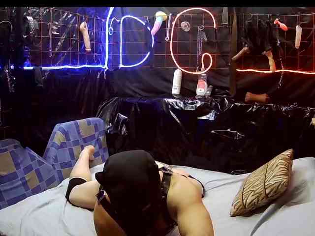 Doberman1a Doberman1a