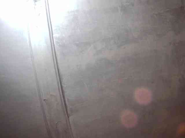 Doberman1a Doberman1a