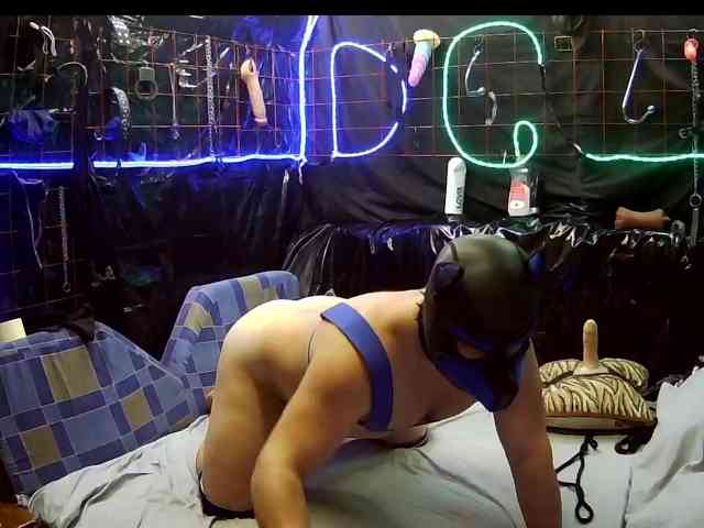 Doberman1a Live Webcam on BongaCams