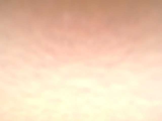 AssBosset's BongaCams show and profile