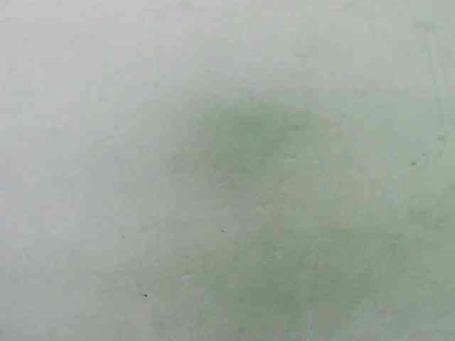 Sylvia6 Live Webcam on BongaCams