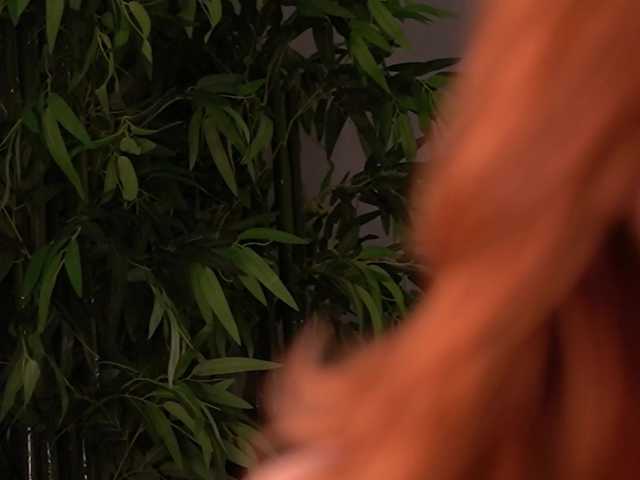 JesicaRabit's BongaCams show and profile