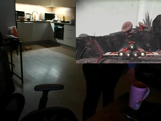 Rainbow-pepper1 Porn Show