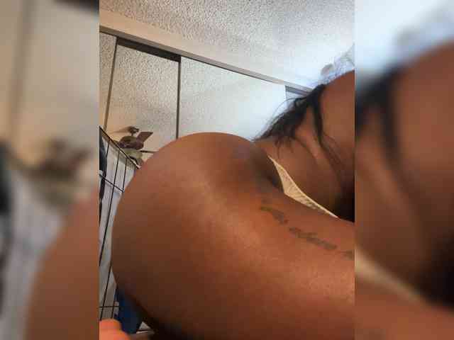 Chaneldafinestttt1 webcam