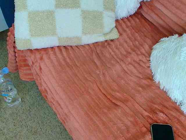 BigAssAnisia BigAssAnisia