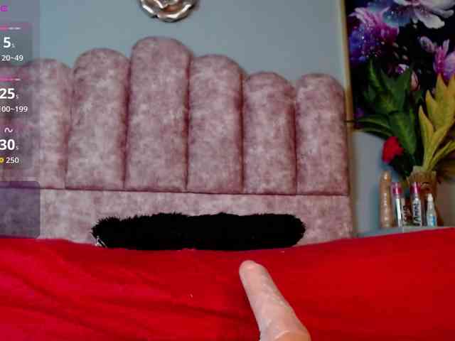 Miacarterks Miacarterks