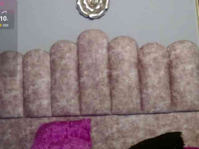 Miacarterks Miacarterks