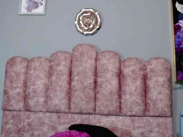 Miacarterks Miacarterks