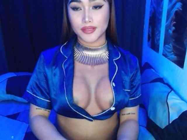 AsianCaulix AsianCaulix