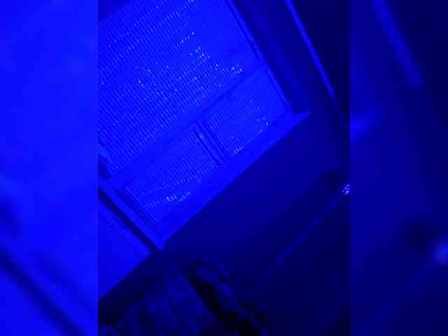 Nikolaichic1 Nikolaichic1