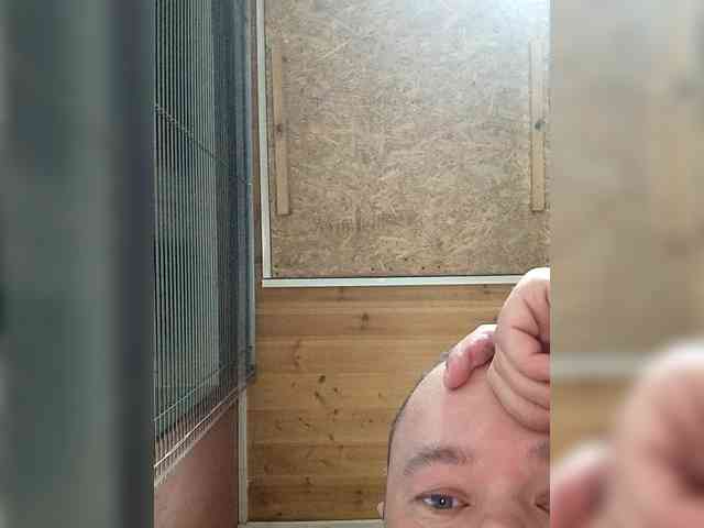 Nikolaichic1 Nikolaichic1