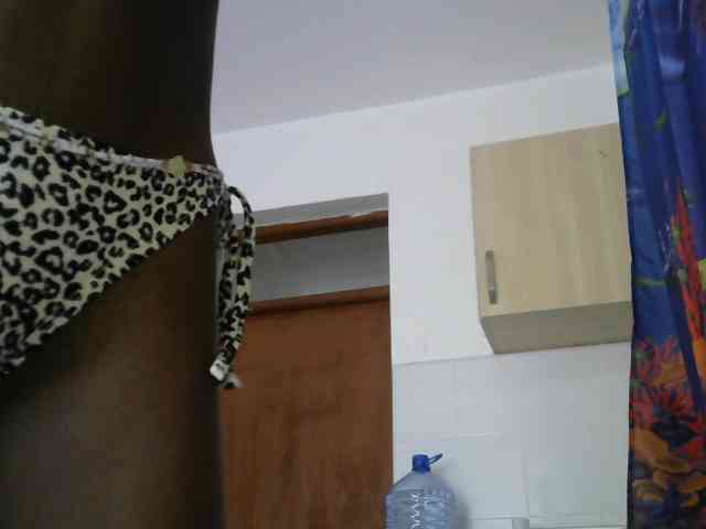 ThePeachFlexer webcam