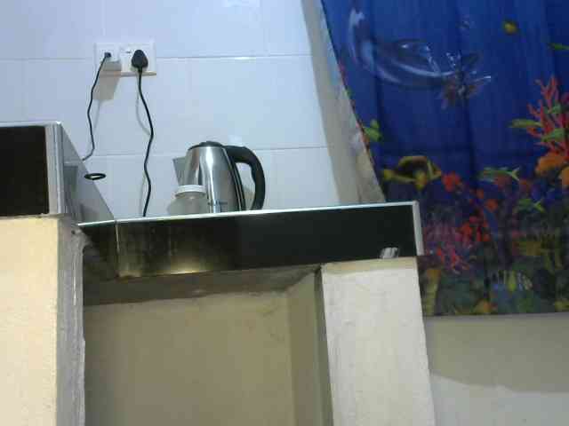 ThePeachFlexer webcam