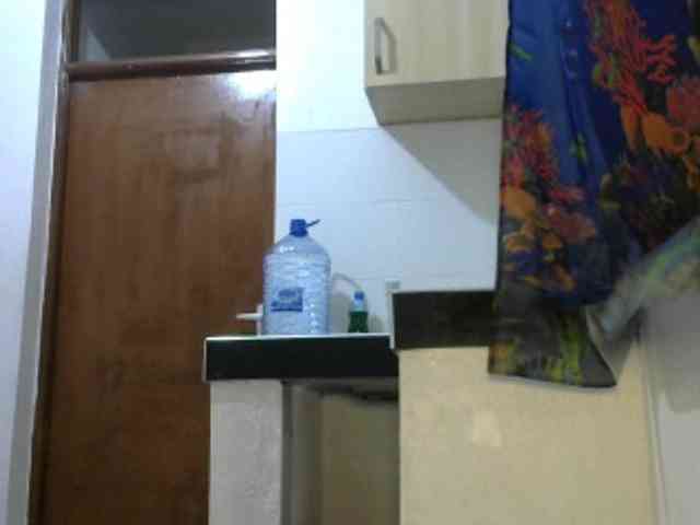 ThePeachFlexer webcam