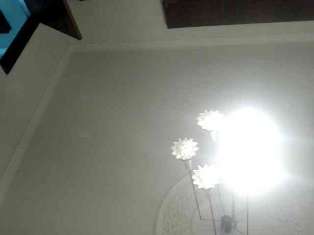 Pipinha Live Webcam on BongaCams
