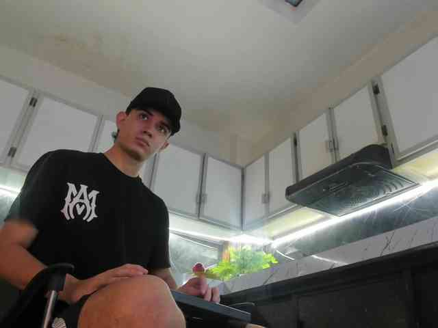 alejo-grayx alejo-grayx