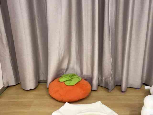 Kittenfishing webcam