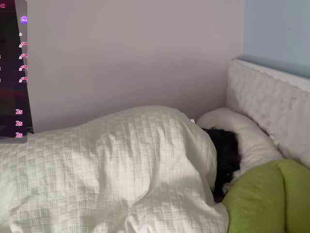 Kittenfishing webcam