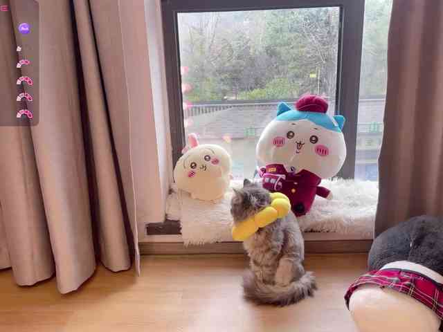 Kittenfishing webcam