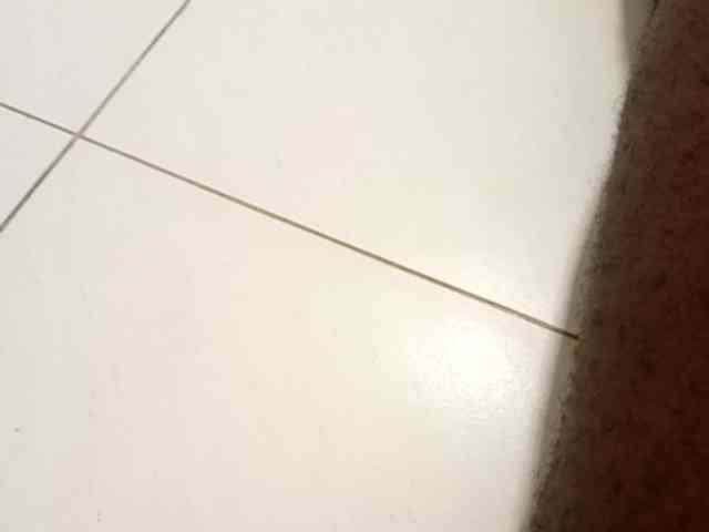 Ooungsex Live Webcam on BongaCams