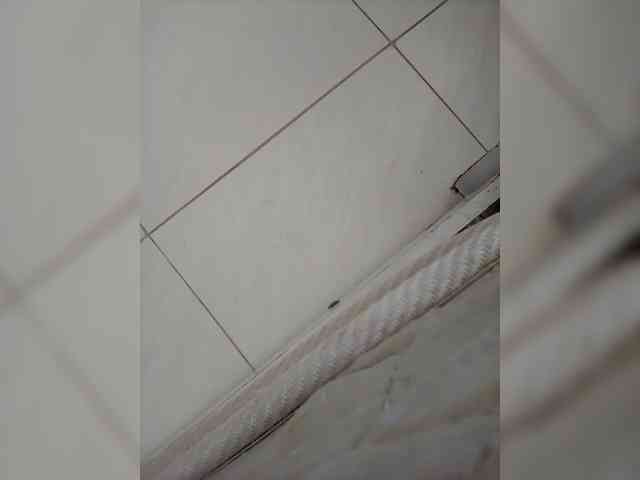 Ooungsex Live Webcam on BongaCams