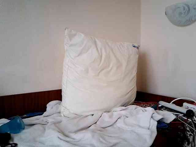 Honeykrisspussy webcam