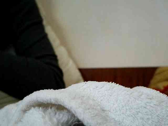 Honeykrisspussy webcam