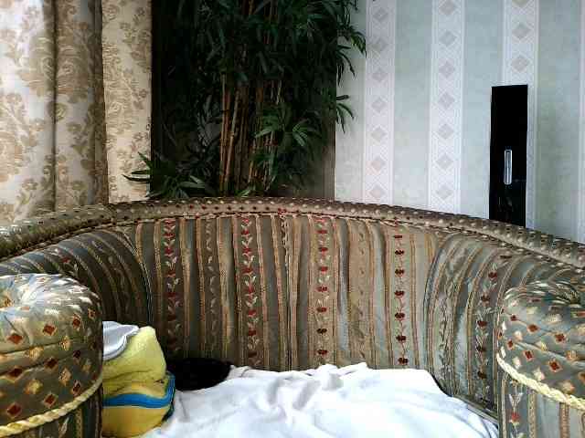 Honeykrisspussy webcam